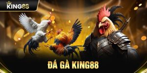 đá gà King88